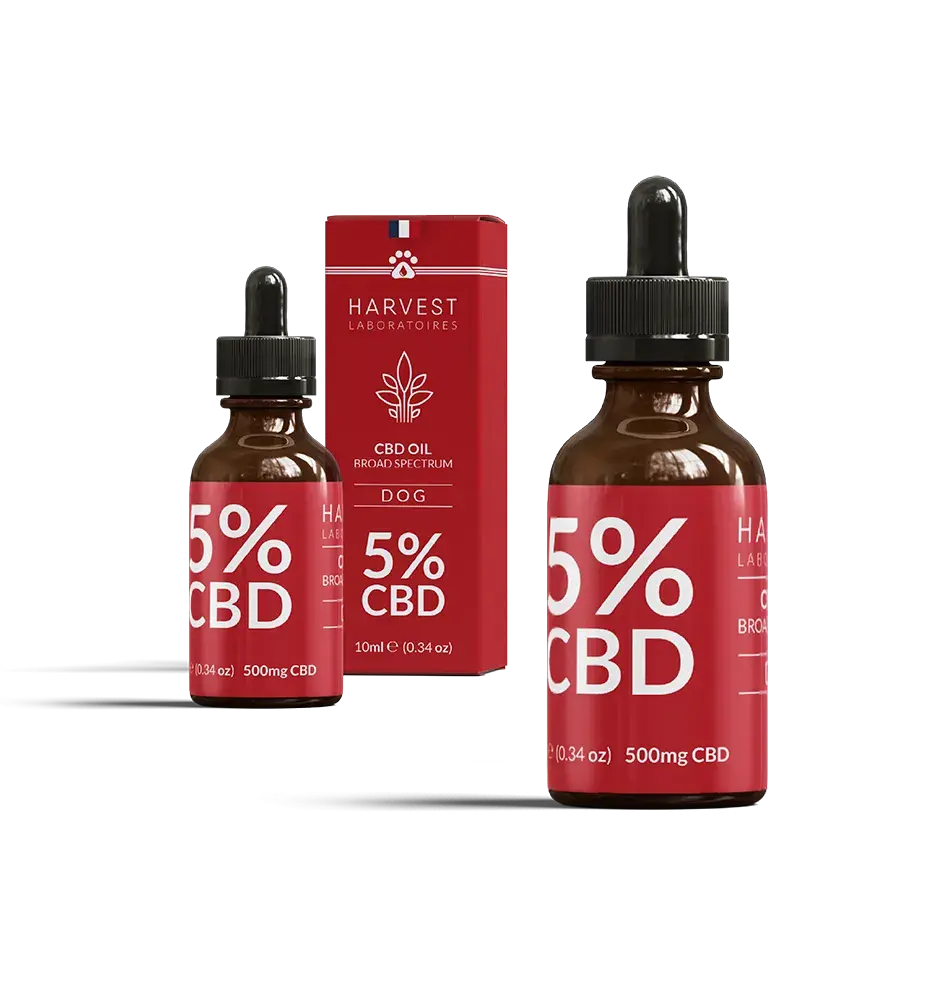 pack d'huile de CBD pour chien