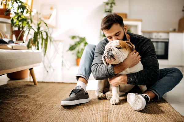 Le CBD : quelle utilisation chez les animaux de compagnie ?